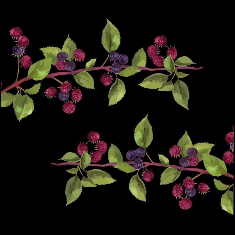 Berry Bliss